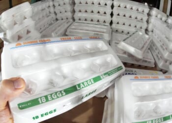 Eggs-asperated: Justice Dept. battles states over cage-free laws