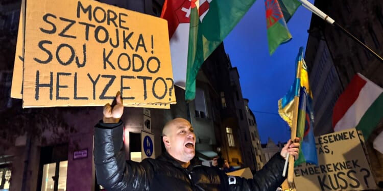 Hungarian Roma protest inflammatory comments by Orban government minister