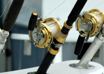 5 Ways Professional Guidance Improves Your Online Fishing Charter Booking Experience