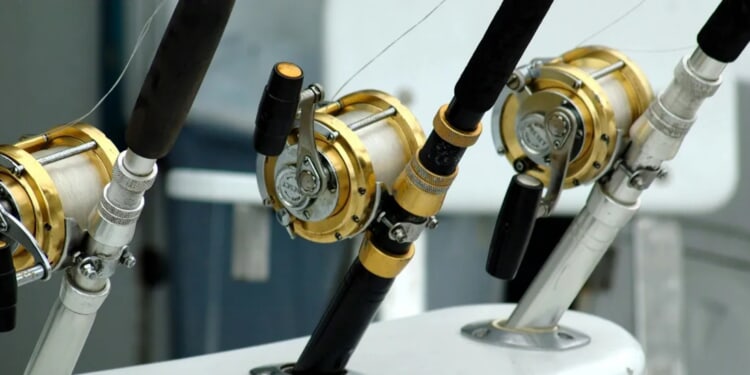 5 Ways Professional Guidance Improves Your Online Fishing Charter Booking Experience