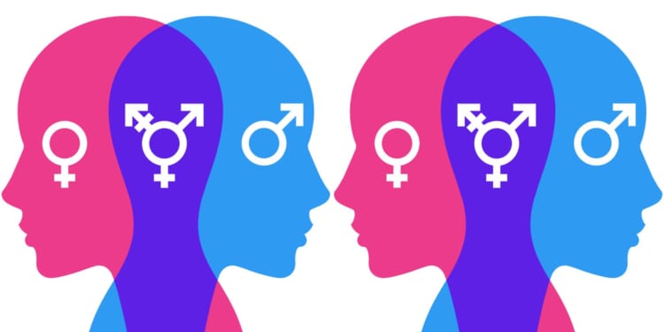 ACLU Admits They Have No Definition of Boy or Girl [WATCH]