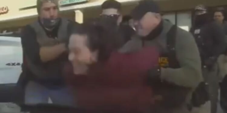 Anti ICE Karen Turned into a Hood Ornament After Punching Florida Trooper in the Face [WATCH]