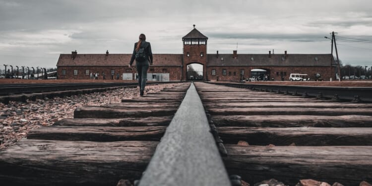 Aphra Brandreth: On this Holocaust memorial day - memory is now becoming a choice