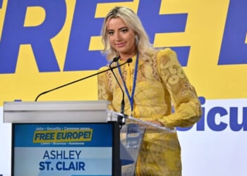 Ashley St. Clair Sues Elon Musk Over Grok Continually Undressing Her