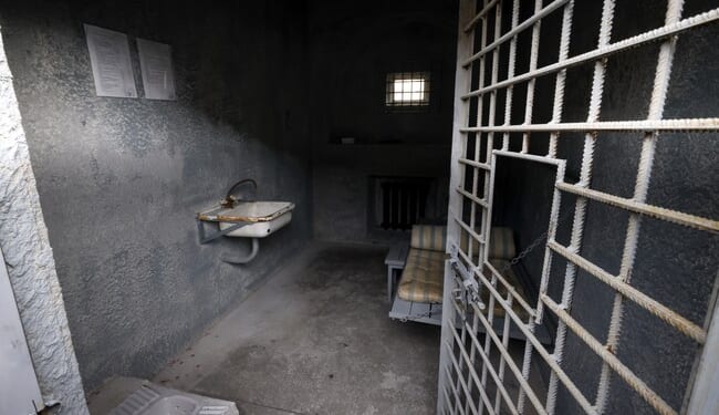 Bananas & Rice Lady Nasra Ahmed ARRESTED by DHS on Bondi's Orders – Twitchy