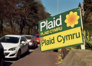 Calum Davies: Wales is now more likely to wear Plaid than teal - but certainly not red