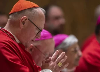 Cardinal Dolan reflects on recovering Catholic essentials