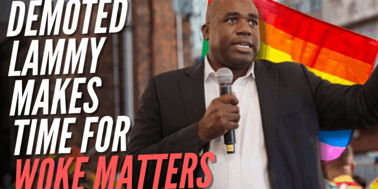 'DPM' Lammy Meets Three Separate Woke Civil Service Networks in a Week – Guido Fawkes