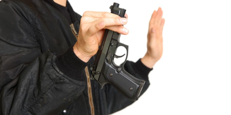 Disarm Citizens, But Encourage Shooting Federal Agents [WATCH]