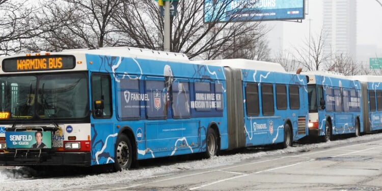 Felon Charged With Assaulting, Robbing Pregnant Woman While On State’s ‘Electronic Monitoring’