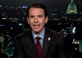 Is Minnesota or California the Fraud Capital of America? | The American Spectator