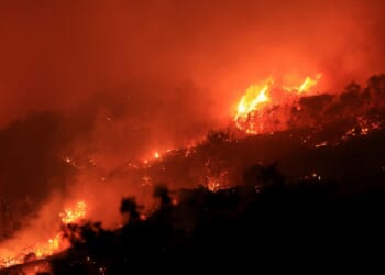 Just When You Thought Palisades Fire Response Couldn’t Get Any Worse [WATCH]