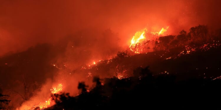 Just When You Thought Palisades Fire Response Couldn’t Get Any Worse [WATCH]