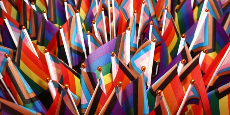 Leftist Nonprofit Behemoth Got $37.8 Million In Taxpayer Money In Year Before Trump’s Return