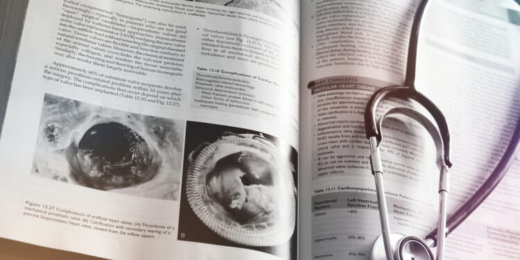 Luke Evans: The UK Medical Training Bill has real merit but contains a major hidden flaw