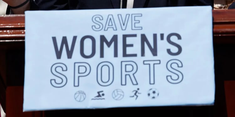 MICHAEL CHAMBERLAIN: DEI Tide Has Turned, And Somebody Should Tell US Educators