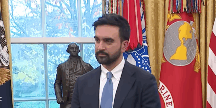 Mamdani Appoints ‘Black Liberation’ Activist Afua Atta-Mensah After Accusations of Black Exclusion | The American Spectator