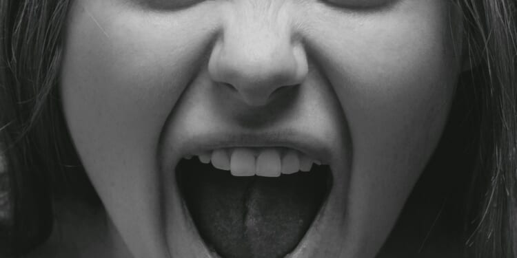 Mario Creatura: The Conservatives want candidates who'll get things done - not an army of angry activists