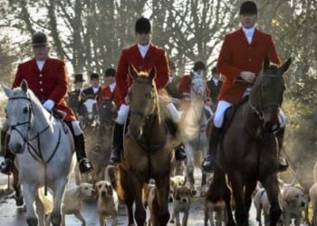 Neil Shastri-Hurst: Why banning trail hunting is a bad law and a bad idea