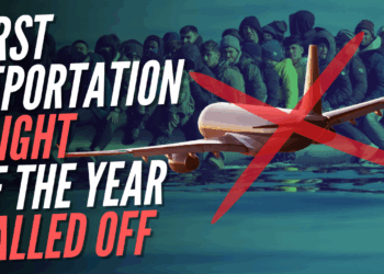 New Year Flight to Deport Illegal Migrants Under ‘One In, One Out’ Deal Cancelled – Guido Fawkes
