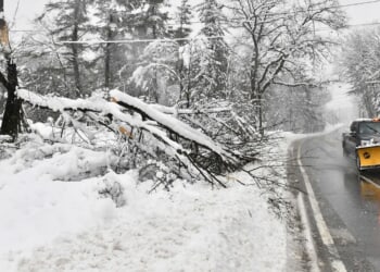 Northeast Facing Potential Nor’easter Threat After Historic, Deadly Winter Storm