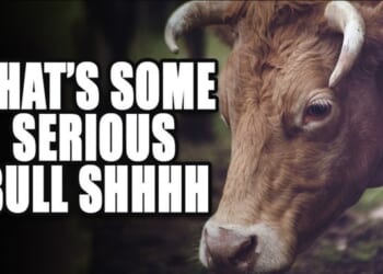 Now the Car Was Already MOVING? Ilhan Omar Tries Out a New Lie About Minneapolis ICE Shooting – Twitchy