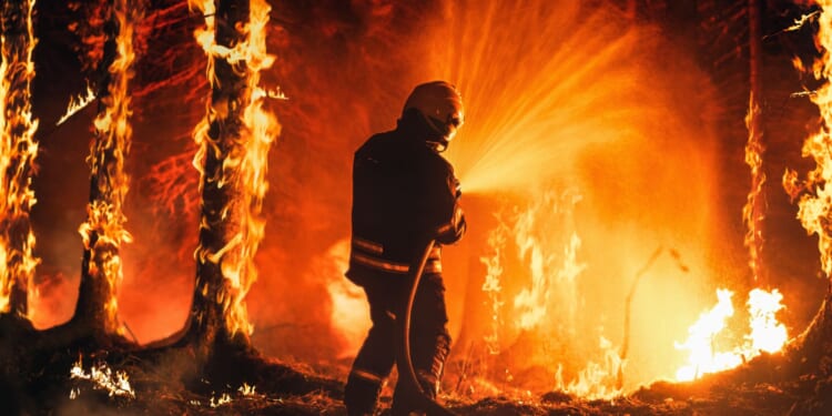 Woman Rushed Into Fire to Save Her Sister as Arsonist Faces Double Murder Charges