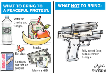 American Spectator 300x600 Subscribe Ad