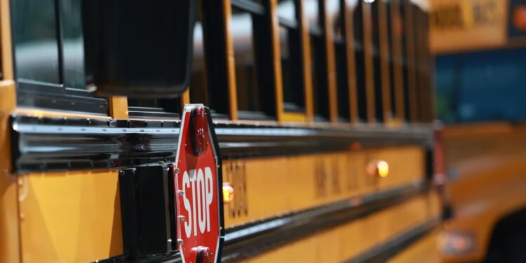 Police On Hunt For Person Who Threw Rock At School Full Of Children, Splitting Open Little Girl’s Skull