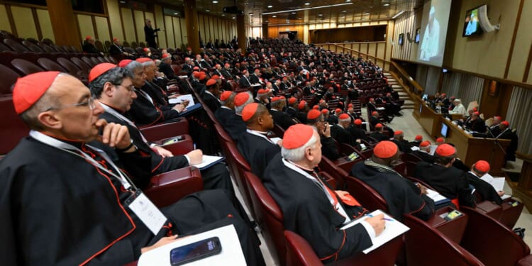 Pope Leo XIV to hold next consistory in June, hopes for annual meetings with cardinals