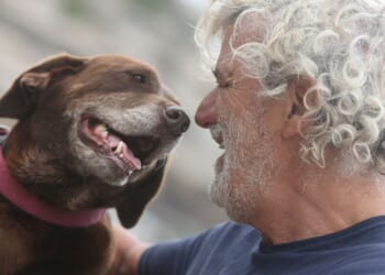 Radical Islamist Ventilated After Asking Man if He Was Christian, Stabbing Him and His Dog [WATCH]