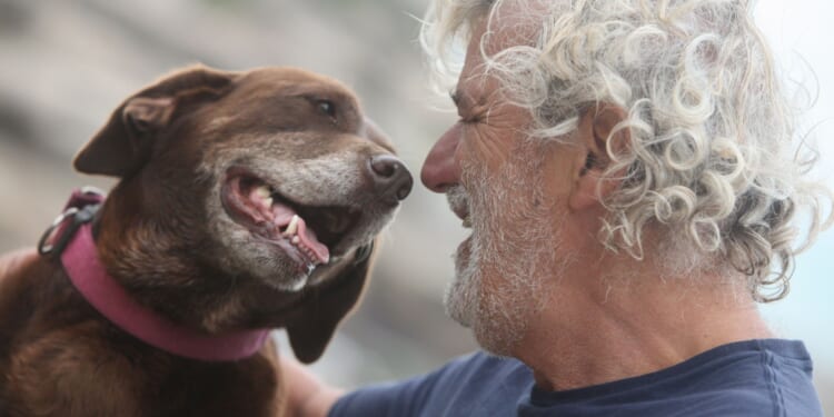 Radical Islamist Ventilated After Asking Man if He Was Christian, Stabbing Him and His Dog [WATCH]