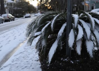 Rare Snow Possible In Florida, Georgia As Arctic Cold Sweeps South