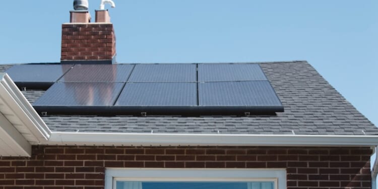 Sarah Ingham: Can Britain afford to save the planet?