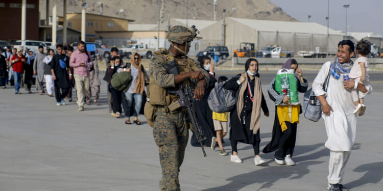 Senate Holds Hearing on Biden Admin Failures to Vet Afghan Evacuees | The American Spectator