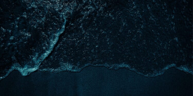 Skeleton Found on Washington State Beach Identified as Missing Oregon Mayor