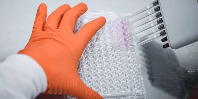 Skeleton That Washed Ashore Decades Ago Finally Identified As Missing Oregon Mayor