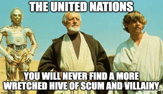 Somalia's Ambassador to the UN Is Also the Administrator of a Healthcare Company in Ohio – Twitchy