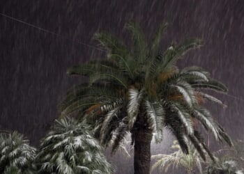 South Florida Could See Snow Due To Rare Gulf-Effect Event