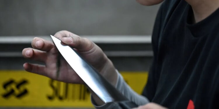 Suspect Allegedly Stabs Man, Dog After Victim Identifies As Christian