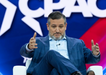 Ted Cruz Shares a NASCAR-Level Improvement to Gavin Newsom's Photo Op With Alex Soros – Twitchy