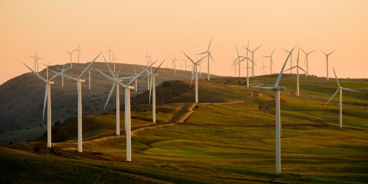 Ted Newson: Ed Miliband and the myth of cheap renewable energy