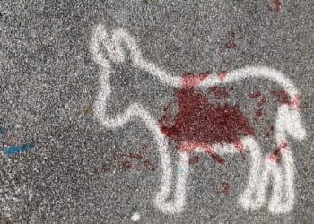 The Democratic Party Can't Survive Without These Three Things: Jesse Kelly [WATCH]