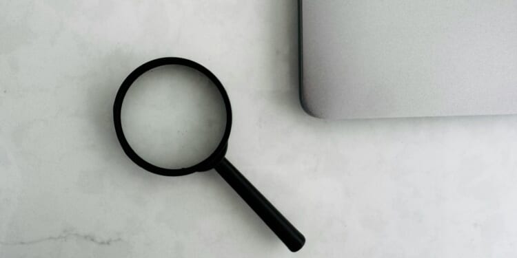 The Green Party should face scrutiny on their plans for running local authorities