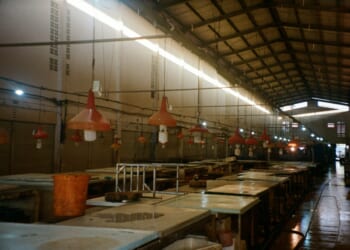 The War on Labor Expense is Renormalizing Slavery, Just in a 21st Century Form | The American Spectator