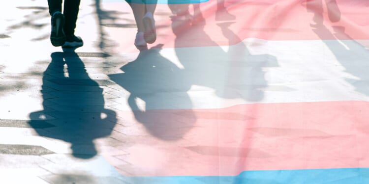 They Trained Us How to Hide Kids' Gender Changes from Mom & Dad [WATCH]