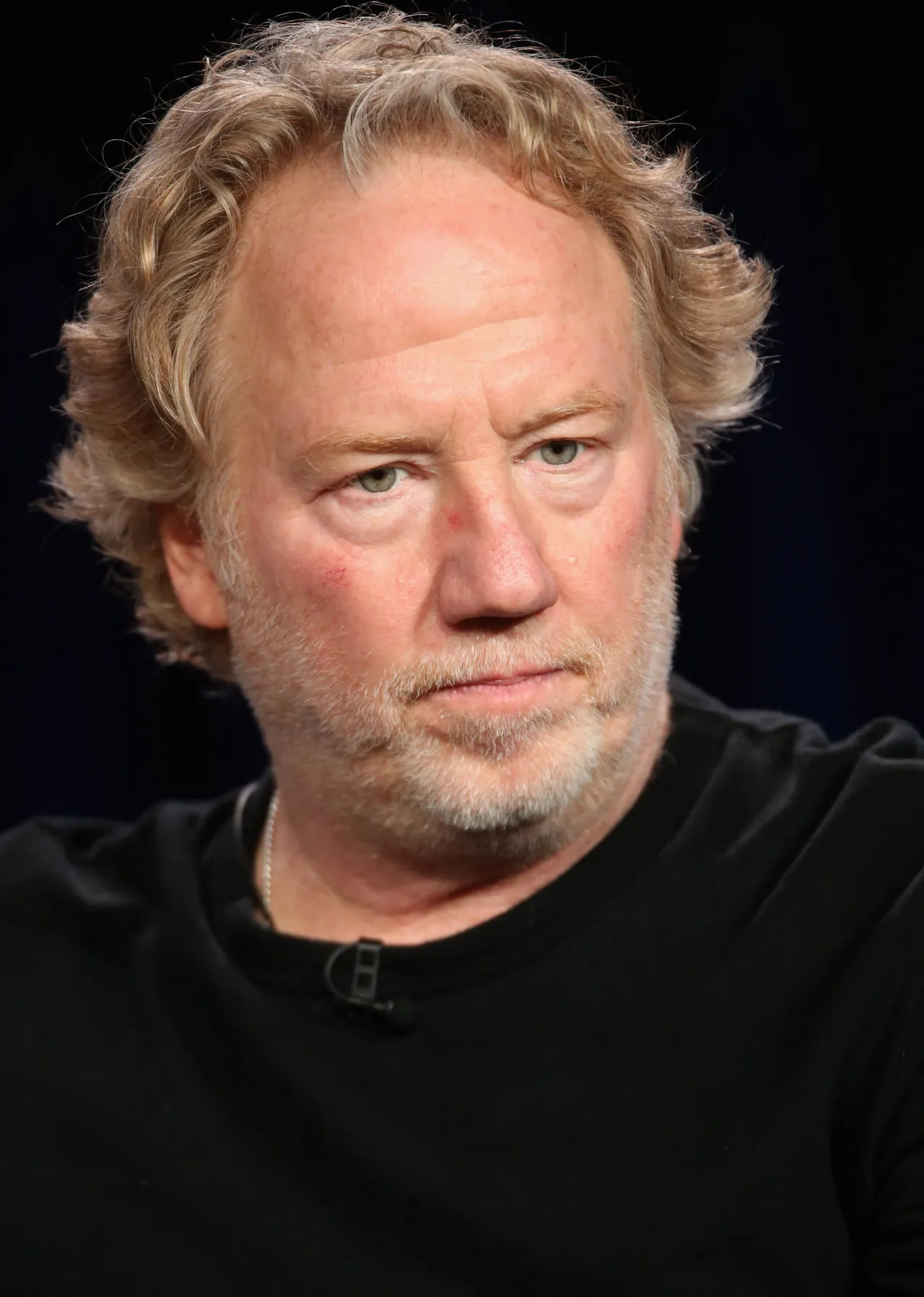 PASADENA, CA - JANUARY 14: Executive Producer Timothy Busfield speaks onstage during the 'Secrets and Lies' panel at the Disney/ABC Television Group portion of the 2015 Winter Television Critics Association press tour at the Langham Hotel on January 14, 2015 in Pasadena, California. (Photo by Frederick M. Brown/Getty Images)