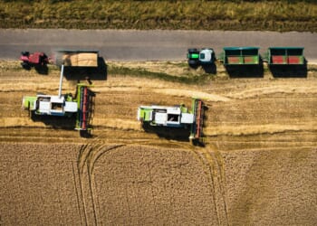 Towards the ‘Triumph of Free Trade’ | The American Spectator