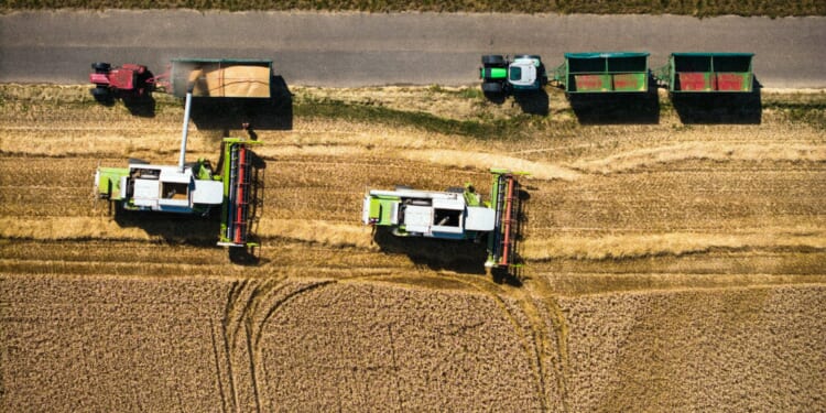 Towards the ‘Triumph of Free Trade’ | The American Spectator