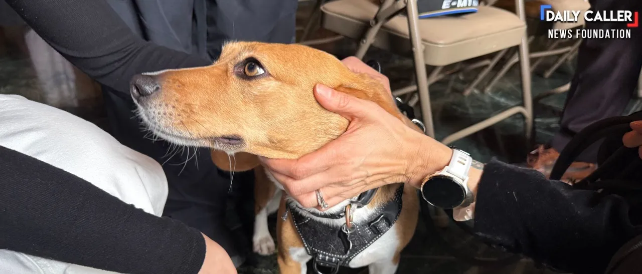 Photo by the Daily Caller News Foundation